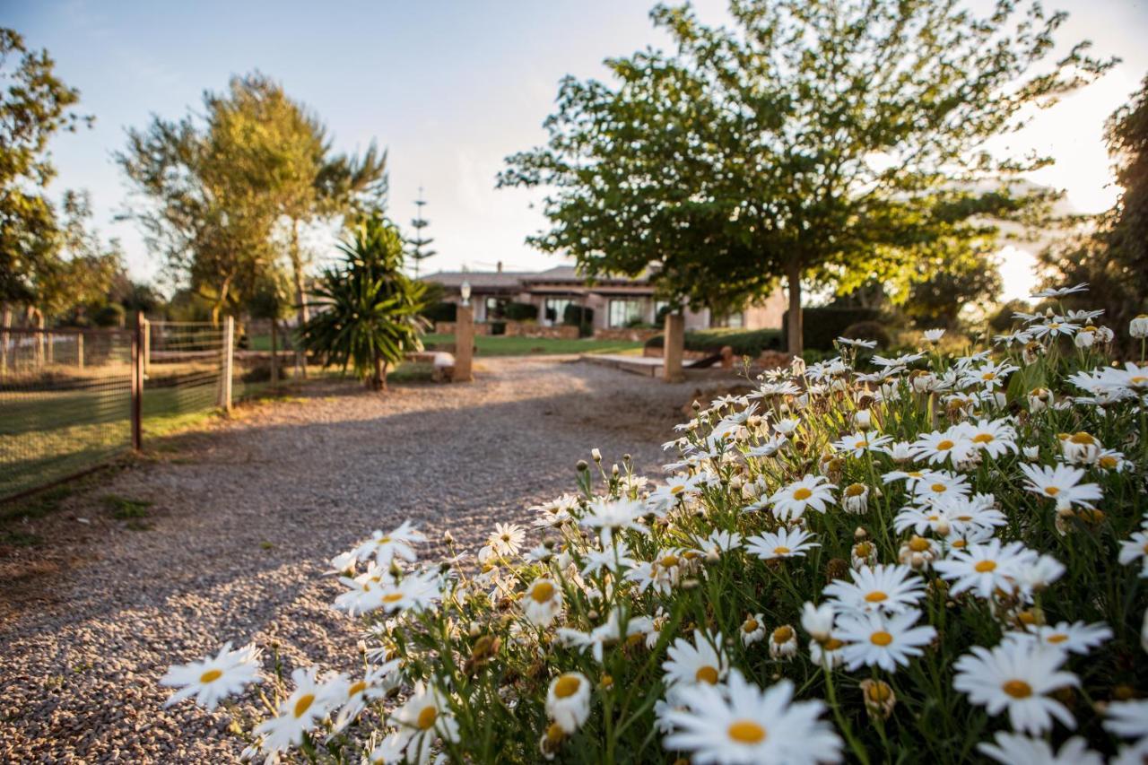 Agroturismo Can Pere Rei Son Serra de Marina Esterno foto