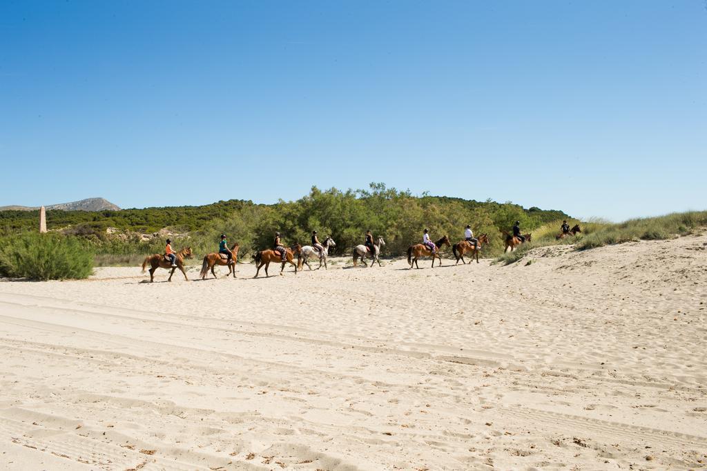 Agroturismo Can Pere Rei Son Serra de Marina Esterno foto